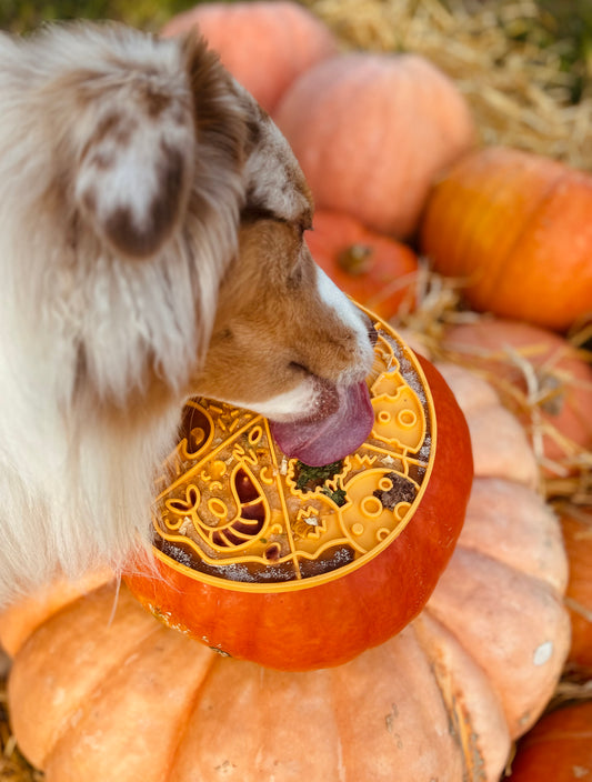 FIBOO PIZZA LICKING MAT