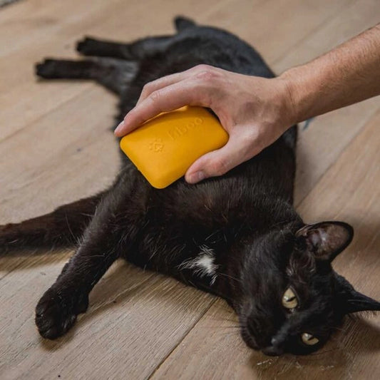 Soft Pet Grooming Brush for Dogs & Cats – FIBBRUSH SOFT
