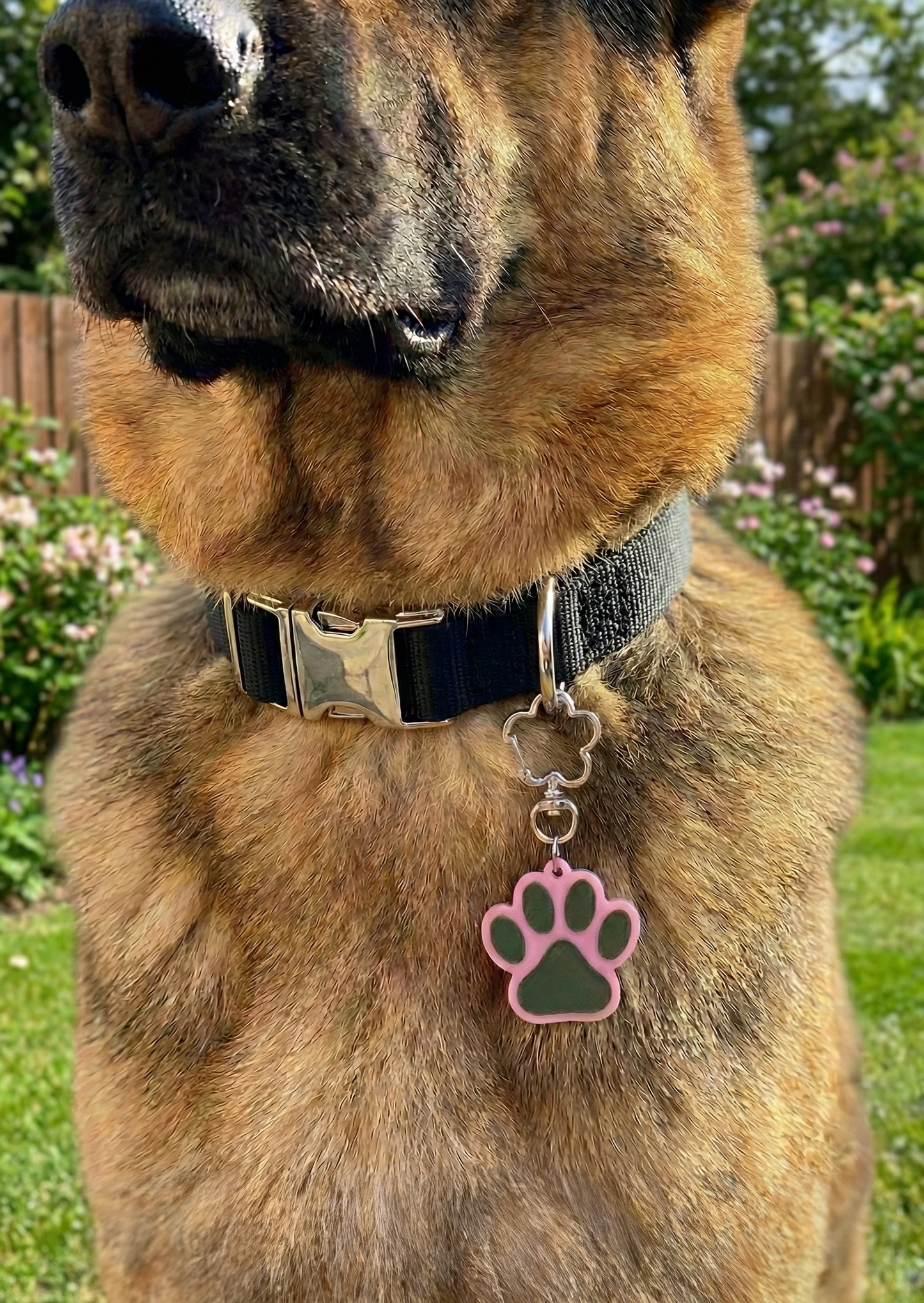 TREATSY ID - NFC TAG for DOGS