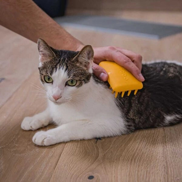 Soft Pet Grooming Brush for Dogs & Cats – FIBBRUSH SOFT